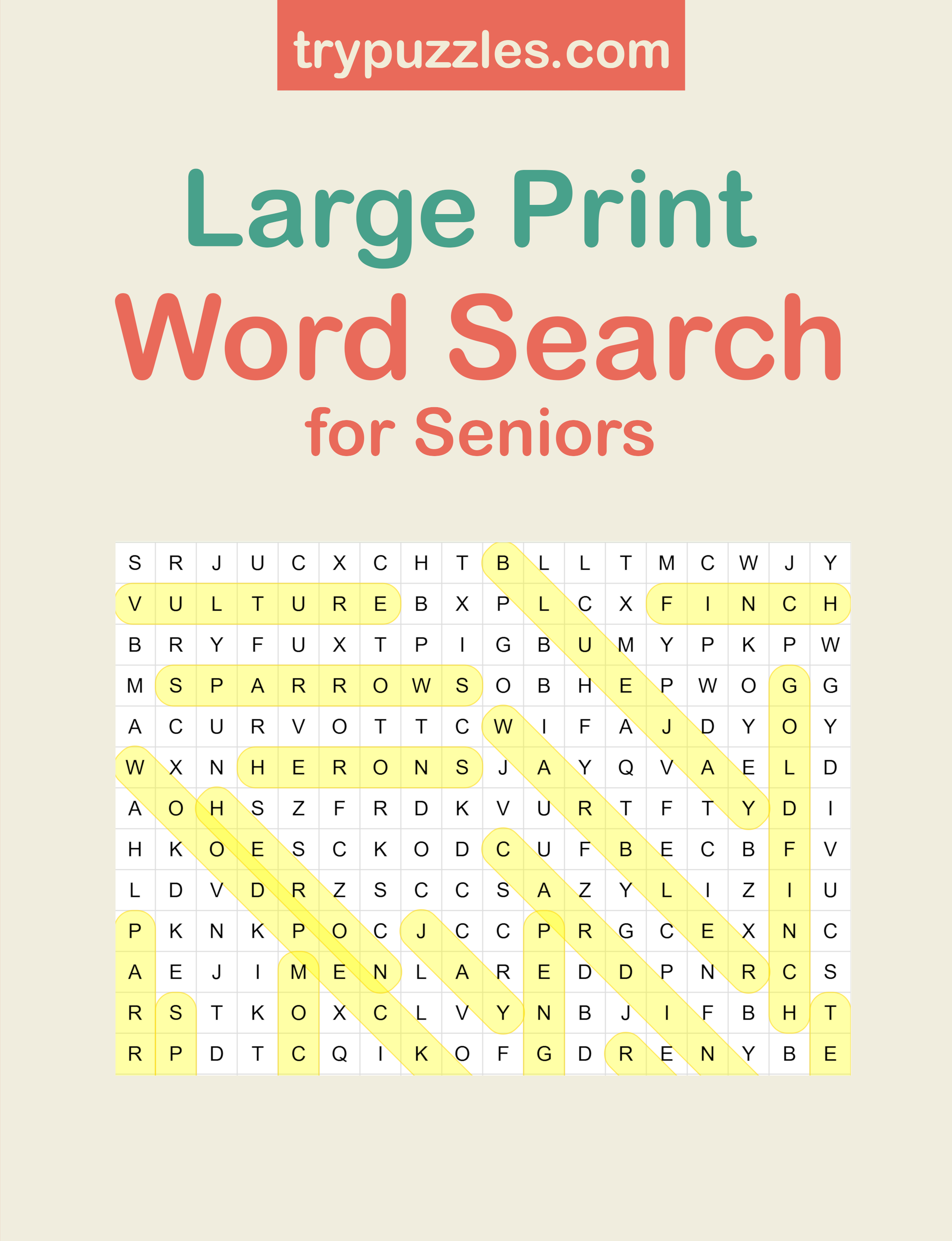 Large Print Word Search for Seniors cover